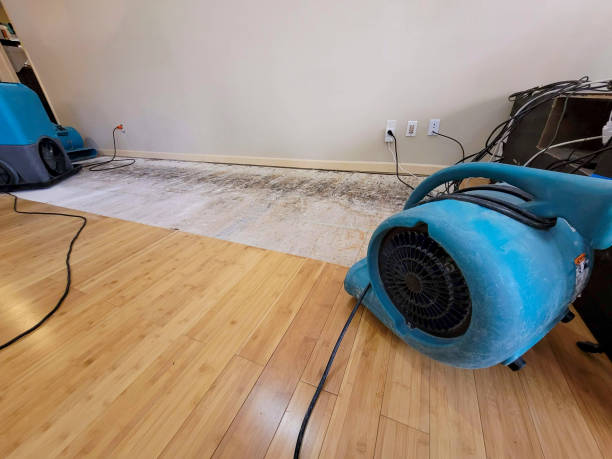 Professional Water Damage Repair technician working in Wayland, OH